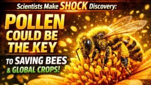 Scientists Make SHOCK Discovery: Pollen Could Be the Key to Saving Bees & Global Crops!