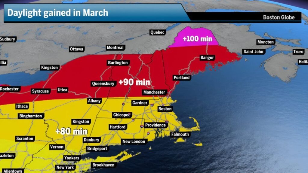 Morning vs. Evening: Who Prefers What?