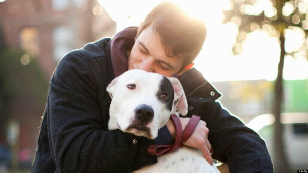 Valentine’s Day : 58% believe kindness to animals predicts loyalty in relationships 